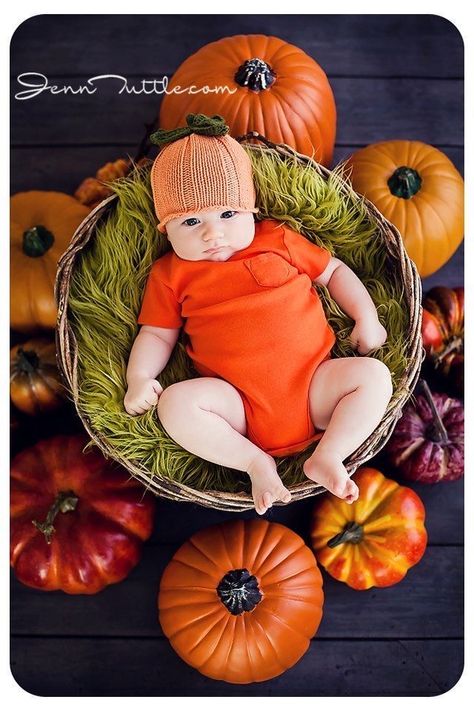 Newborn Photography Pumpkin, 4 Month Fall Baby Pictures, Pumpkin Baby Photos, Baby Halloween Picture Ideas, October Baby Photoshoot, Baby Fall Photoshoot, Halloween Baby Pictures, Halloween Baby Photos, Fall Baby Photos