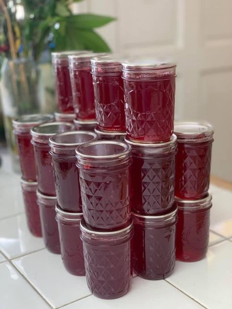 Crafting Homemade Pomegranate Jelly: A Delightful Creation Worth Sharing Pomegranate Jelly Homemade, Pomegranate Jelly Recipe, Canning Pomegranate, Substitute For Brown Sugar, Pomegranate Jam, Homemade Nacho Cheese Sauce, Pomegranate Jelly, Homemade Nachos, Preserving Foods