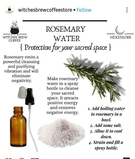 Protection Herbs, Rosemary Water, Magickal Herbs, Cleansing Spray, Witch Spirituality, Magic Herbs, Magical Herbs, Wiccan Spell Book, Witchcraft Spell Books