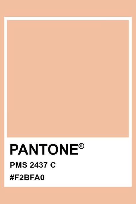 Pantone PMS 2437 #pantone #color Light Orange Pantone, Journaling Prints, Peach Vibes, Pantone Cards, Orange Pantone, Spring Pantone, Shade Of Orange, Pantone Matching System, Pantone Colours