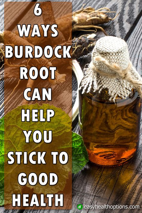 Burdock Root Recipes, Burdock Root Benefits, Burdock Root, Health And Fitness Magazine, Natural Healing Remedies, Healthy Diet Tips, Herbs For Health, Daily Health Tips, Skin Diseases