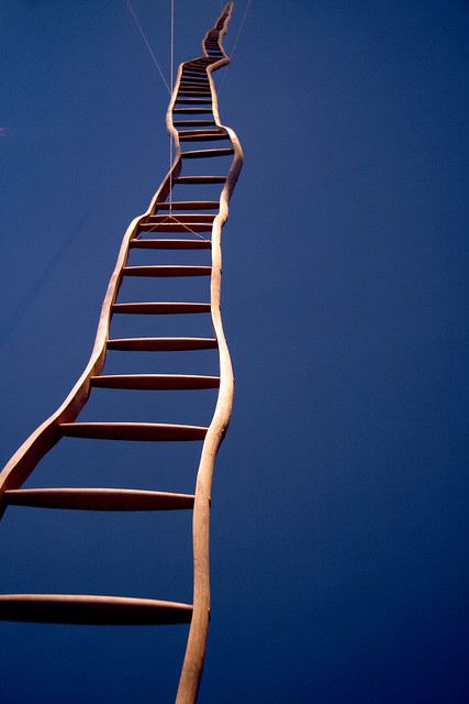 stairway to heaven? | Martin Puryear wood sculpture in the M… | Carla Saliba | Flickr Martin Puryear, Stairway To Heaven, To Heaven, Land Art, Wood Sculpture, Installation Art, Shades Of Blue, The Sky, Cobalt