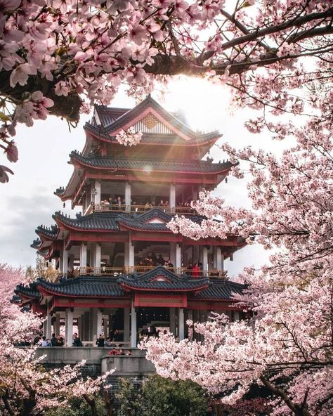 China Temple, Beautiful Temple, Jiangsu China, Aesthetic Japan, Japan Aesthetic, Chinese Architecture, China Travel, Beautiful Places To Travel, Pretty Places