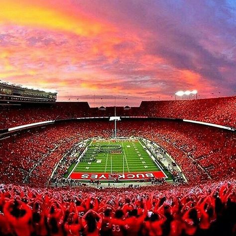 4,883 Likes, 59 Comments - Ohio State Sports Official (@ohiostatesportsofficial) on Instagram: “❤ #BuckeyeNation” Ohio State Stadium, Ohio State Wallpaper, Buckeye Baby, Ohio Stadium, Ohio Buckeyes, Osu Football, Buckeye Nation, Ohio State Buckeyes Football, Osu Buckeyes