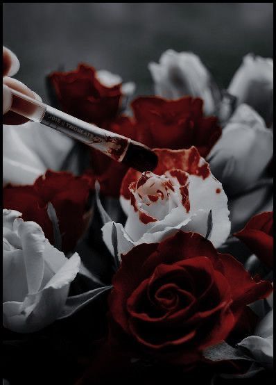 Dark Alice In Wonderland, Alice In Wonderland Aesthetic, Alice Madness, Blood Art, Rosé Aesthetic, Fantasy Aesthetic, Dark Photography, Red Aesthetic, Pretty Flowers