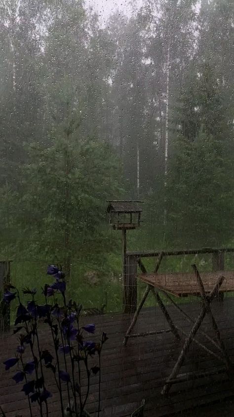 Relaxing Rain Sounds, Rainy Day Aesthetic, I Love Rain, Rain Sounds, Dark Nature Aesthetic, Forest Pictures, Sound Of Rain, Nature Gif, Cool Pictures Of Nature