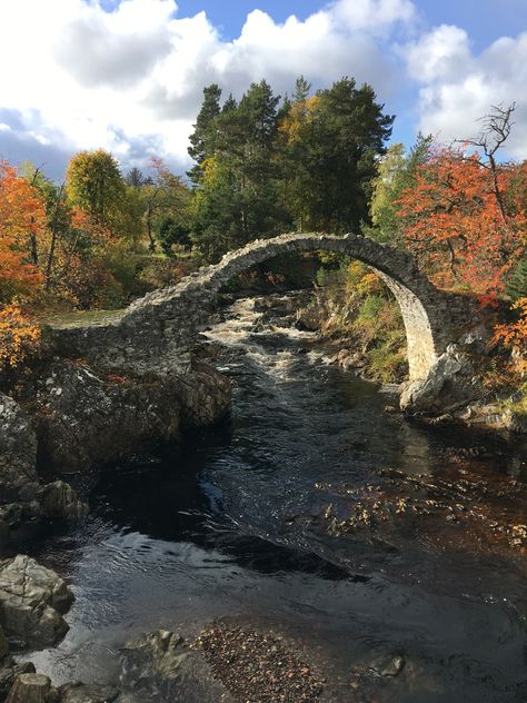 Carrbridge,Scotland fall 2018 Scotland In Fall, Uk Roadtrip, Edinburgh Trip, Dreamlife Aesthetic, Scotland Fall, Fall Core, Scotland Nature, Road Trip Uk, Pictures Of Beautiful Places