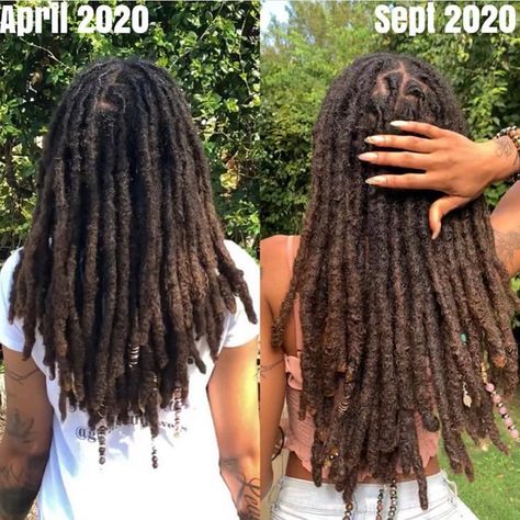 Thick Long Locs, 40 Locs Count, 70 Locs Count, Long Thick Locs, Thick Locs On Black Women, 50 Locs, Thick Dreads, Loc Appreciation, Thick Locs