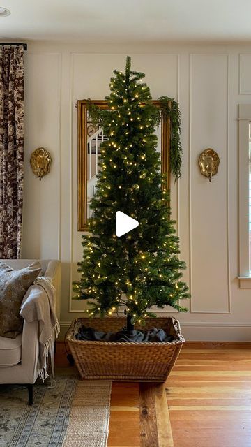 Ciara Kenaston | Interior Design on Instagram: "A Christmas Tree in a vintage French market basket is just my favorite! Not all tree stands work in a basket, so grab your patio umbrella stand and see how I make this work!! My @kingofchristmas tree: 7.5’ King Douglas Fir Slim Artificial Christmas Tree with 650 Warm White & Multi-Color LED Lights . . . . #christmas #christmastree #kingofchristmas #christmasdiy #christmasdecor tree in a basket" Pencil Tree In Basket, Artificial Christmas Tree In A Basket, Christmas Tree With Bucket Stand, Christmas Tree Rotating Stand, Antique Christmas Tree Stands, French Country Christmas Tree, Christmas Tree Wicker Basket, Rotating Christmas Tree Stand, Rotating Christmas Tree