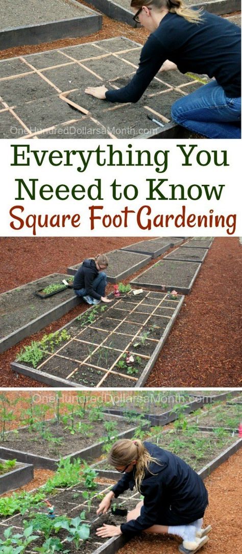 Everything You Need to Know About Square Foot Gardening - One Hundred Dollars a Month Square Foot Gardening Layout, Garden Design Layout, Square Foot Gardening, Kitchen Waste, Garden Layout, Veggie Garden, Raised Beds, Compost Bin, Raised Garden Beds