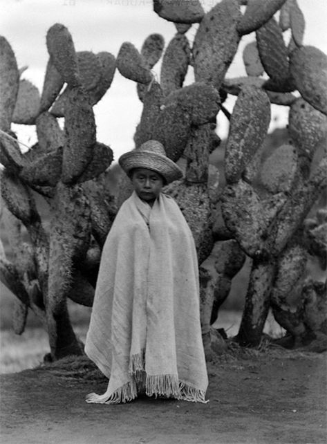 Así fue la revolución social y fotográfica de Tina Modotti (GALERÍA) Tina Modotti, Straight Photography, Mexican Revolution, Edward Weston, Famous Photographers, Mexican Culture, Mexican Art, Bw Photo, Outdoor Art