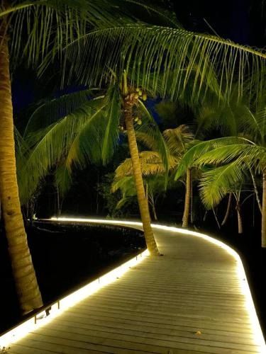 Nayara Bocas del Toro | Panamá, Panamá, Panama - Venue Report Penthouse Rooftop, Baby Shower Venues, Birthday Venues, Booking Sites, Camping Glamping, Outdoor Swimming Pool, At The Hotel, Historic Buildings, Resort Spa