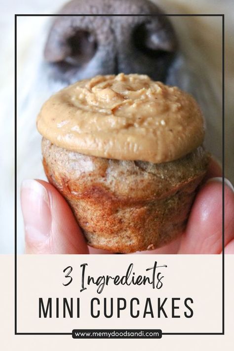 Cupcakes you can share with your dog ❤️ #doglovers #dogfriendly #healthylifestyle #glutenfreerecipes #dogs #dogsarefamily #happydog One Dog Cupcake Recipe, Dog Bday Cupcake, Small Batch Dog Cupcakes, Grain Free Dog Cupcakes, Single Serving Dog Cupcake, Dog Friendly Muffins, Single Serving Dog Cupcake Recipe, Cupcake Recipe For Dogs, Dog Safe Cupcakes Recipes