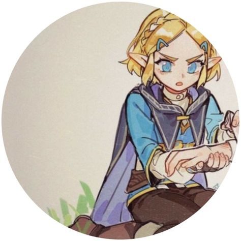 Legend Of Zelda Tumblr, Zelda Tumblr, Link Pfp, Zelda Drawing, Link Zelda, Zelda Art, Legend Of Zelda Breath, Zelda Breath, Cute Anime Profile Pictures