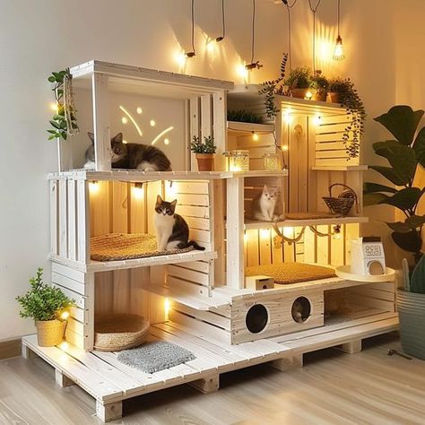 Small Apartment Cat, Cat Balcony, Cat Room Decor, Cat Space, Dog Bedroom, Cat Bedroom, Niche Chat, Cat Gym, Cat Patio