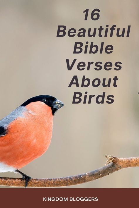 Bible Verses about birds continue to remind us how God will ALWAYS take care of us even more so than His creations. While the bird sings praises each and every morning, so should God’s children. Scriptures About Birds, Bible Verse Birds, Bible Verse About Sparrows, Consider The Birds Scripture, Bird Bible Verse Tattoo, Birds Singing Quotes, Birds Quotes Short, Bible Verse About Birds, Bird Bible Verse