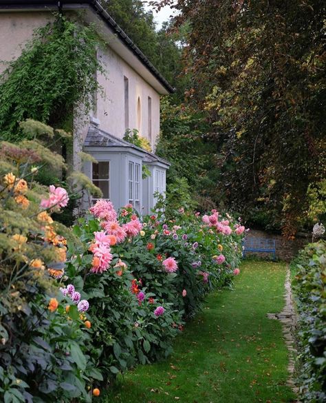 Charlie McCormick on Instagram: “Today I staked the dahlias in the border (I always do it far too late but better late than never). There are many ways you can do it but…” Hydrangea Aesthetic, Hillside Pool, Greens Garden, Planting Dahlias, Pool Bed, Garden River, Conservatory Greenhouse, Lawn Landscape, Garden Hedges