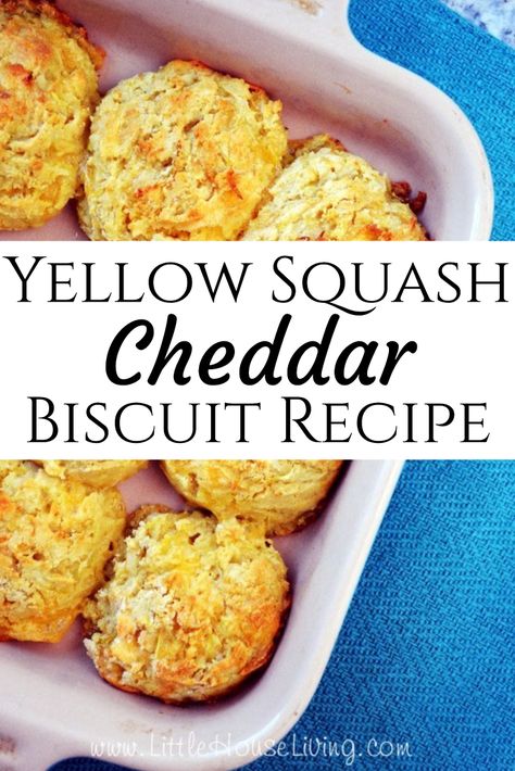 Looking for a delicious way to get more veggies into your diet? These Cheddar Biscuits will make the whole family happy! #biscuits #cheddarbiscuits #homemade #gardenvegetables #hiddenveggies #cheddarbiscuitseasy Yellow Squash Recipes, Cheddar Biscuits, Garden Veggies, 9x13 Baking Dish, Yellow Squash, Garden Recipes, Squash Recipes, Biscuit Recipe, Om Nom