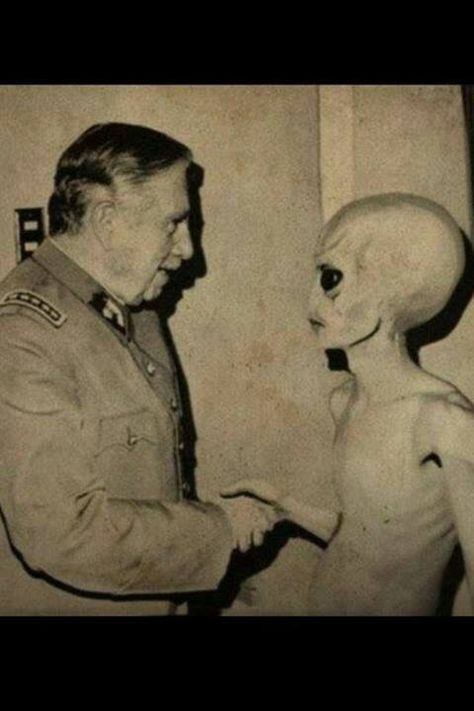 Alien Theories, Alien Photos, Aliens Exist, Art Alien, Grey Alien, Arte Alien, Aliens And Ufos, Ufo Sighting, Art Disney