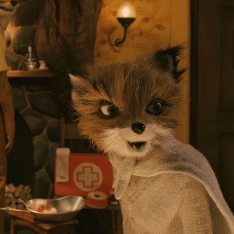 tags: fantastic mr fox pfp, fantastic mr fox pfps, fantastic mr fox icon, fantastic mr fox icons, ash icon, ash icons, ash pfp, ash pfps Fantastic Mr Fox Pfp, Ash Fox, Mr Fox Wallpaper, Fox Pfp, Fox Icon, Fantastic Fox, Wes Anderson Movies, Isle Of Dogs, Fox Pictures