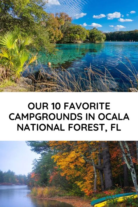 OUR 10 FAVORITE CAMPGROUNDS IN OCALA NATIONAL FOREST - FL Ocala National Forest Things To Do, Camping In Arkansas State Parks, Camp Helen State Park Florida, Ocean Lakes Family Campground, Elkmont Campground, Ocala National Forest, Forest Camp, Best Campgrounds, Camping Destinations