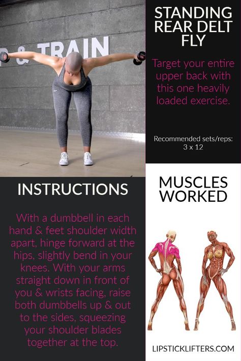 back workouts for women Rear Delt Fly Dumbbell, Back Workouts For Women, Weightlifting Exercises, Rear Delt Fly, Delt Fly, Back Workouts, Back Workout Women, Rear Delt, Workouts For Women