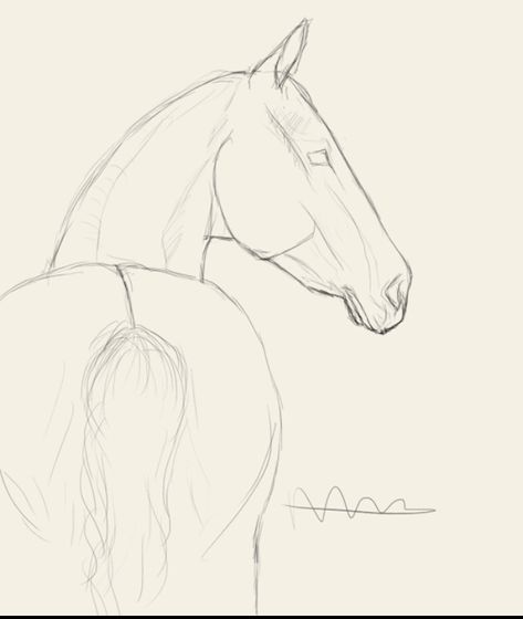 Horse Drawing Tutorial, Imagination Drawing, Drawing Horses, Horse Art Drawing, Horse Sketch, Princess Drawings, Unique Drawings, Horse Drawings, Horse Drawing