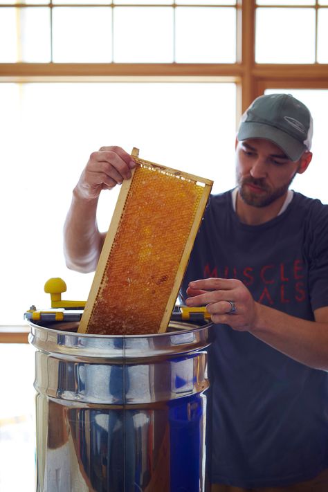 Honey extractors are devices used to extract honey from honeycombs without destroying them. The honeycomb is placed in the extractor, spun at high speed. Centrifugal force pushes the honey out of the combs and into a container at the bottom of the extractor. Save yourself the hassle of buying extracting equipment for one day a year. Let us store and take care of the equipment for you to have your garage back. You know what I mean. Honey Extractor, Centrifugal Force, Bee Keeping, Beer Mug, Save Yourself, Honeycomb, High Speed, Take Care, Beer Glasses