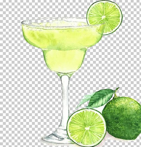 Margarita Drawing, Margarita Tattoo Drinks, Margarita Clip Art, Margarita Graphic Design, Margarita Illustration, Mojito Illustration, Cocktail Drawing, Margarita Art, Margarita Illustration Cocktail