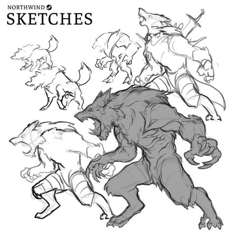 Wolf Boss Character Design and Concept Art #2dgame #deckbuilding #r... - Northwind by Barkingkitten Fenrir Character Design, Big Bad Wolf Character Design, Wolfman Character Design, Monster Wolf Art, Werewolf Poses Reference Drawing, Werewolf Art Reference, Wolf Creature Design, Werefox Character Design, Werebear Character Design