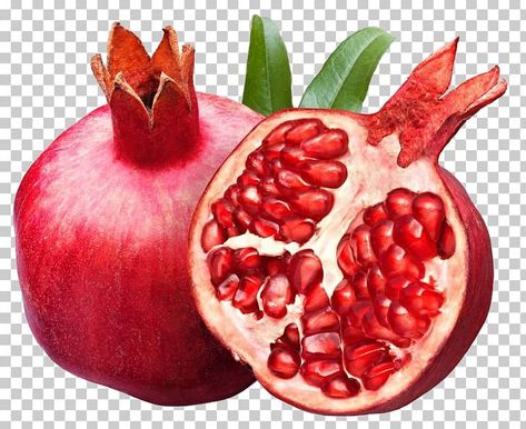 Pomegranate Poster, Watercolor Pomegranate, Pomegranate Art, Pomegranate Fruit, Watercolor Art Paintings, Fruit Photography, Red Pomegranate, Pomegranate Juice, Color Shampoo