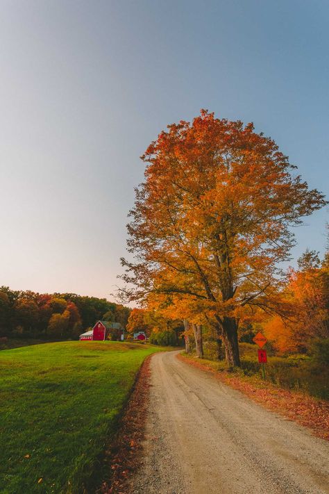 Headed West-Ish. Took some time off to go explore some of the autumn colors in Western Massachusetts. Autumn Massachusetts, Fall Aesthetic Western, Midwest Autumn, Massachusetts Autumn, Autumn In The Country, Western Massachusetts, Western Fall Aesthetic, Massachusetts Aesthetic, Beyond The Horizon