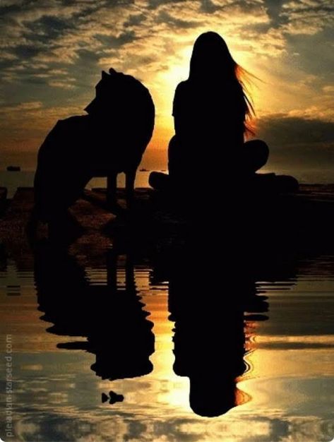 Water Gif, Pleiadian Starseed, Wolves And Women, Wolf Wallpaper, Wolf Love, Wolf Pictures, Beautiful Wolves, Wolf Spirit, Foto Art