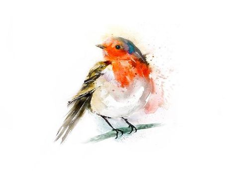 Robin Watercolour, Robin Illustration, Robin Tattoo, Aquarelle Drawing, Painting Birds, Bird Sketch, Red Robin, Signed Artwork, Watercolor Painting Techniques