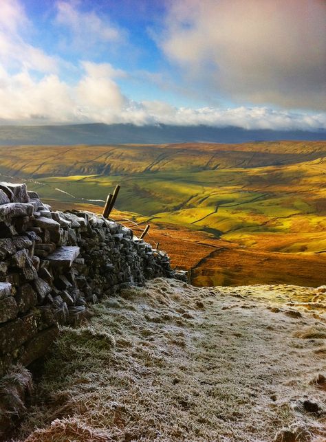 Upper Wharfedale, #Yorkshire_Dales National Park, #England… Yorkshire Dales National Park, Northern England, British Countryside, Yorkshire Dales, England And Scotland, England Uk, English Countryside, Yorkshire England, British Isles