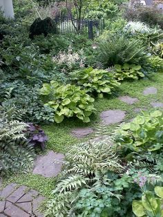 Pathway Decor, Shade Landscaping, Shade Garden Design, Garden Pathways, Hosta Gardens, Garden Walkway, Woodland Garden, Garden Pathway, Garden Borders