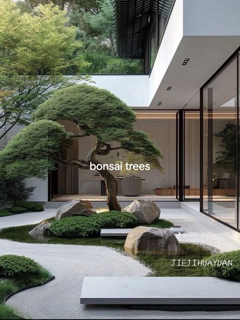 Minimalist Courtyard, Bonsai Tree Garden, Outdoor Kitchen Garden, Garden Sitting Area, Bonsai Design, Garden Luxury, Weddings Outdoor, Japanese Garden Landscape, Plants For Home