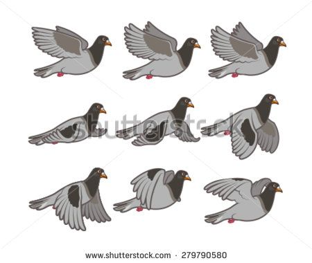 Flying Pigeon Cartoon Stock Photos, Images, & Pictures | Shutterstock Pigeon Cartoon, Animation Sprite, Flying Pigeon, Fly Drawing, Animation Storyboard, Frame By Frame Animation, Animation Sketches, Cartoon Sketches, Cartoon Animation