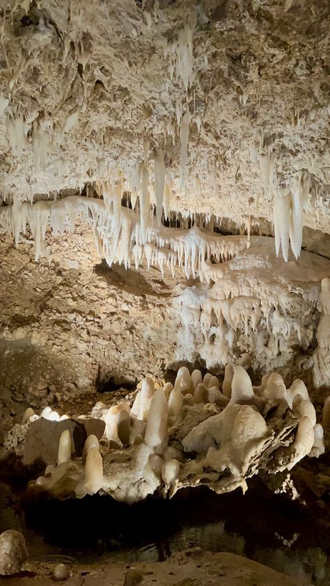 Limestone Cave, Glow Worm Cave, Deep Pool, Limestone Caves, Glow Worm, Saint Thomas, Cave In, The Cave, Caribbean Travel