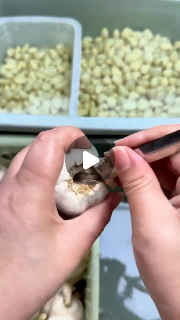 Peeling Garlic Cloves Hack, Best Way To Peel Garlic, Easy Way To Peel Garlic Cloves, How To Peel Garlic Cloves Easy Video, How To Store Peeled Garlic, Peel Garlic Easy, Peeling Garlic Cloves Easy, How To Store Garlic Cloves, Garlic Peeling Hack