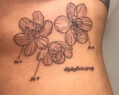 Skeleton Flower Tattoo, Jonghyun Tattoo, Diphylleia Grayi, Skin Doodles, Kpop Tattoo, Kpop Tattoos, Skeleton Flower, Tattoo Board, Taurus Tattoos