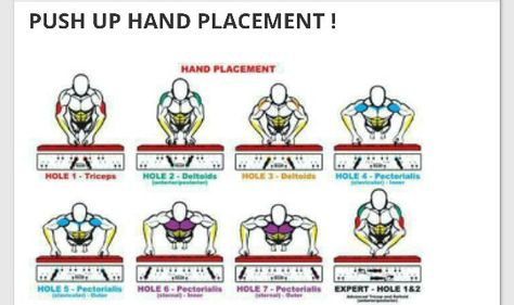 Push up hand placements Push Up Beginner, Muscle Groups To Workout, Bar Exercises, Archery Training, Push Up Workout, Push Up Bars, Conditioning Workouts, Core Muscles, Strength Workout