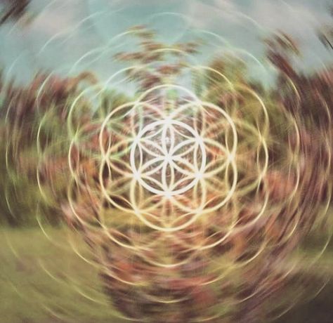 Sacred Geometric Symbols, Dream Inspiration, Chill Lounge, Divine Union, Sacred Geometry Jewelry, Geometry In Nature, Surf Yoga, Trippy Visuals, Sacred Geometric