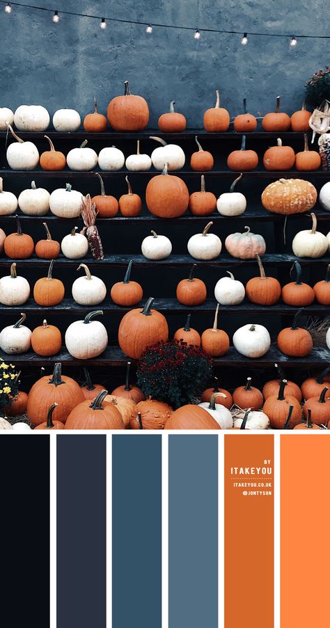 Blue And Orange Colour Palette, Blue Orange Color Palette, Orange And Blue Color Palette, Blue And Orange Color Scheme, Orange And Blue Combination, Color Scheme Blue, Pomegranate Color, Orange Color Scheme, Halloween Color Palette