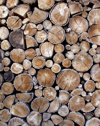 woodstack of small and medium logs. No special fixes or tweaks applied Wood Pile, Rustic Glam, Rustic Centerpieces, Material Textures, Outdoor Wood, Wood Patterns, Rustic Interiors, Land Art, Wood Texture