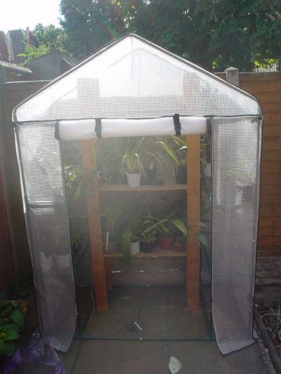 Greenhouse Hydroponics, Plastic Greenhouse, Best Greenhouse, Aquaponics Fish, Aquaponics Diy, Hydroponic Farming, Hydroponics Diy, Build A Greenhouse, Indoor Greenhouse