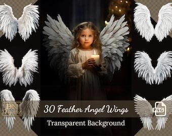 Wings Overlay, Angel Wing Overlay, Celestial Angel, Angel Wings Png, Png Overlays, Wings Png, Angel Wings Art, Feather Angel Wings, Lace Tattoo