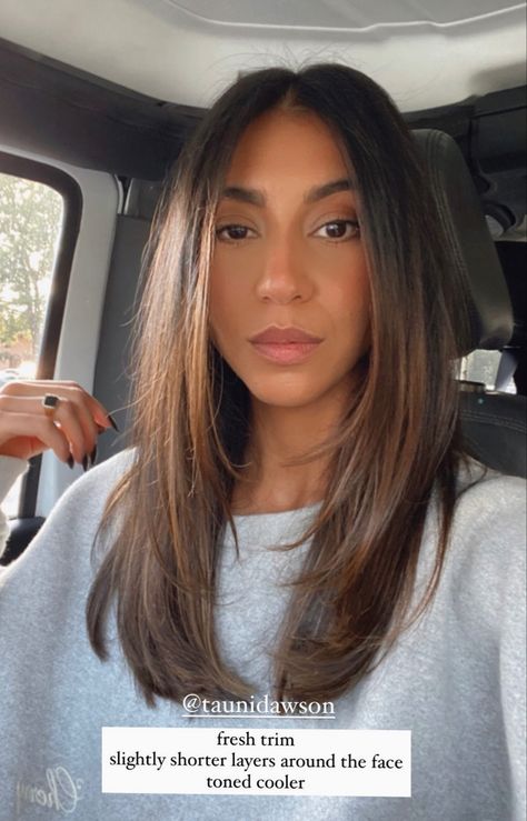 Full Custody, Rambut Brunette, Brown Hair Inspo, Straight Hair Cuts, Hairstyles For Layered Hair, Midlength Haircuts, Haircuts For Medium Hair, Haircuts Straight Hair, Long Layered Hair