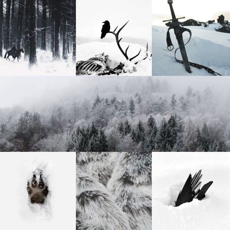 Werewolf Moodboard, Gothic Mood Board, Frost Spirit, Chaos Aesthetic, Paranormal Aesthetic, Fat Animals, Adopt Idea, Snowy Forest, Mood Board Inspiration