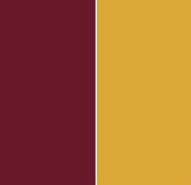 Burgundy Colour Palette, Yellow Colour Scheme, Yellow Kitchen, Red Design, Yellow Aesthetic, Burgundy And Gold, Burgundy Color, Wine Red, Mustard Yellow